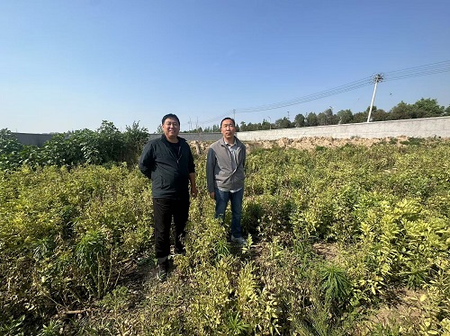 中国石油天然气股份有限公司河南周口销售分公司商水纬三路加油站.jpg